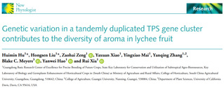 <a href='/2025/0515/c8788a408958/page.htm' target='_blank' title='New Phytologist | 华南农大夏瑞课题组揭示荔枝TPS基因簇内丰富的自然变异影响品种间香气多样性的形成'>New Phytologist | 华南农大夏瑞课题组揭示荔枝TPS基因簇内丰富...</a>