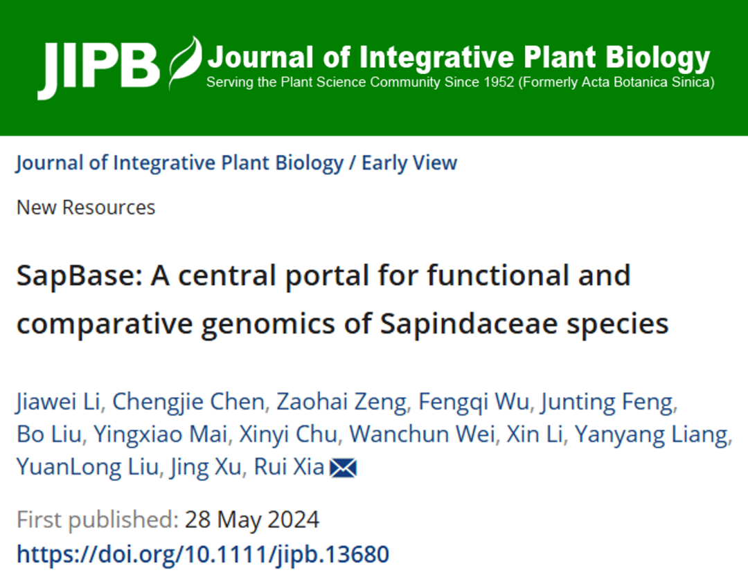 <a href='/2024/0605/c8788a377216/page.htm' target='_blank' title='JIPB | 华南农业大学夏瑞团队发布无患子科基因组数据库平台—SapBase'>JIPB | 华南农业大学夏瑞团队发布无患子科基因组数据库平台—SapB...</a>