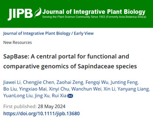 <a href='/2024/0605/c8788a377216/page.htm' target='_blank' title='JIPB | 华南农业大学夏瑞团队发布无患子科基因组数据库平台—SapBase'>JIPB | 华南农业大学夏瑞团队发布无患子科基因组数据库平台—SapB...</a>