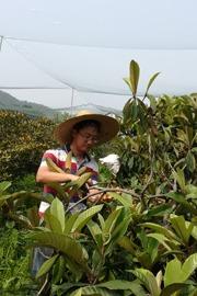 <a href='/2019/1226/c8834a216665/page.htm' target='_blank' title='胡文舜'>胡文舜</a>