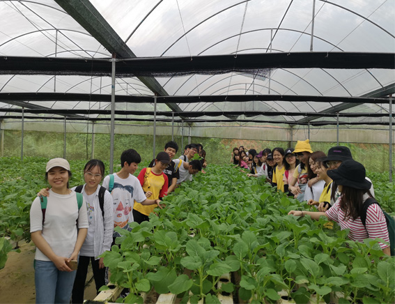 1559614190588244.jpg 用图2.jpg