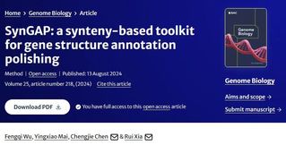 <a href='/2024/0830/c8788a383130/page.htm' target='_blank' title='Genome biology | 华南农业大学夏瑞团队发表基因结构注释矫正工具——SynGAP'>Genome biology | 华南农业大学夏瑞团队发表基因结构注释矫正工...</a>