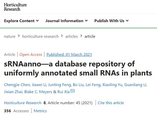 <a href='/2021/0304/c8788a269204/page.htm' target='_blank' title='[Horticulture Research]夏瑞课题组建立并公布植物小RNA的注释数据库（sRNAanno）'>[Horticulture Research]夏瑞课题组建立并公布植物小RNA的注释数...</a>